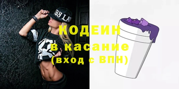 индика Бронницы