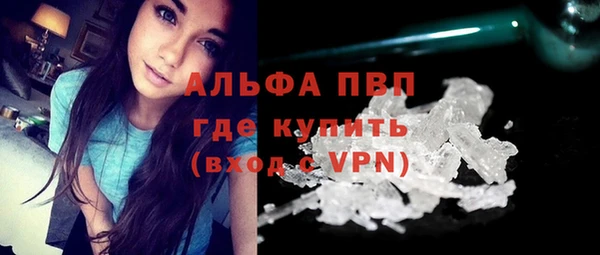 эйфоретик Богданович