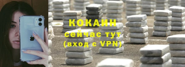 mdpv Богородицк