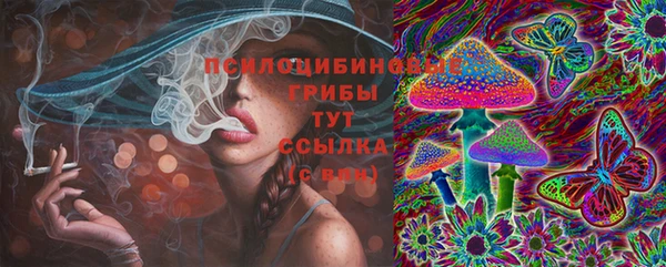 эйфоретик Богданович