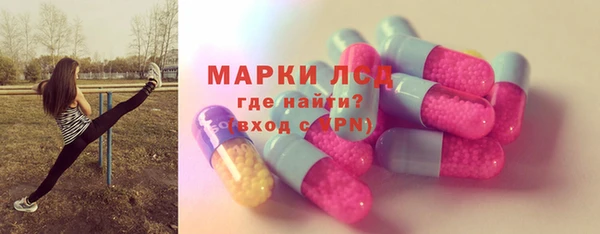 шишки Бородино