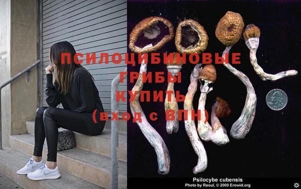 эйфоретик Богданович