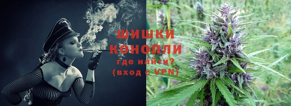 эйфоретик Богданович