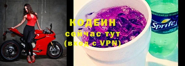эйфоретик Богданович